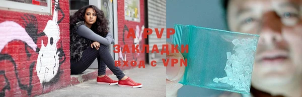 молекула духа Надым