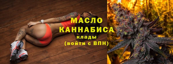молекула духа Надым