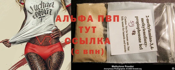 молекула духа Надым