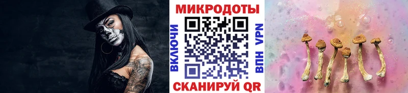 Купить где Юрга Галлюциногенные грибы Psilocybine cubensis